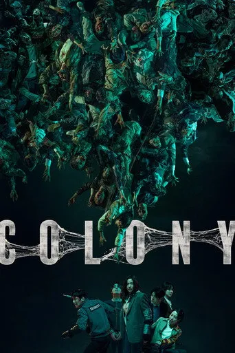 Colony（群体）