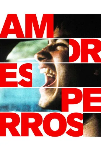 Amores Perros（爱情是狗娘）