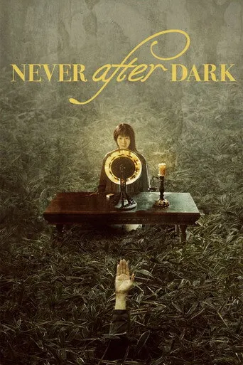 Never After Dark（入夜不再）