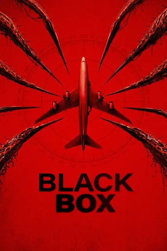 Black Box (Flight 298)