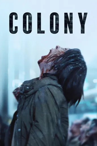 Colony