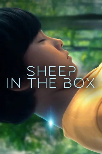 Sheep in the Box（再生家族）