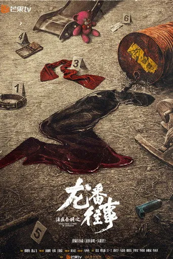 Once Upon a Time in Longfan（法医秦明天谴者）