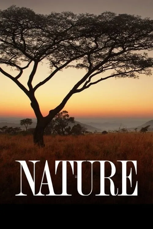 Nature（自然）