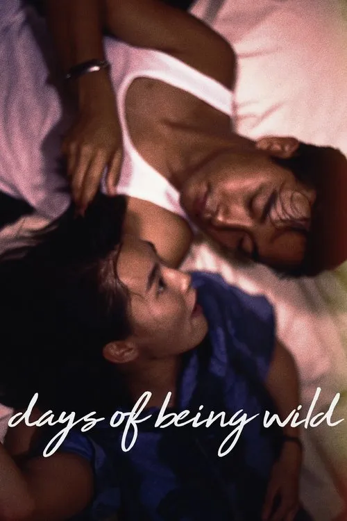 Days of Being Wild（阿飞正传）