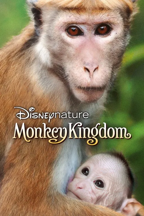 Monkey Kingdom（猴子王国）